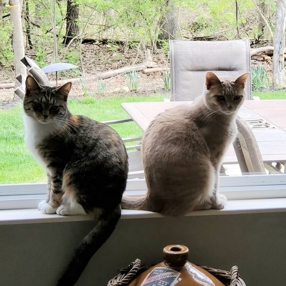 Big Kahuna's Closet - Picture 3 of 4